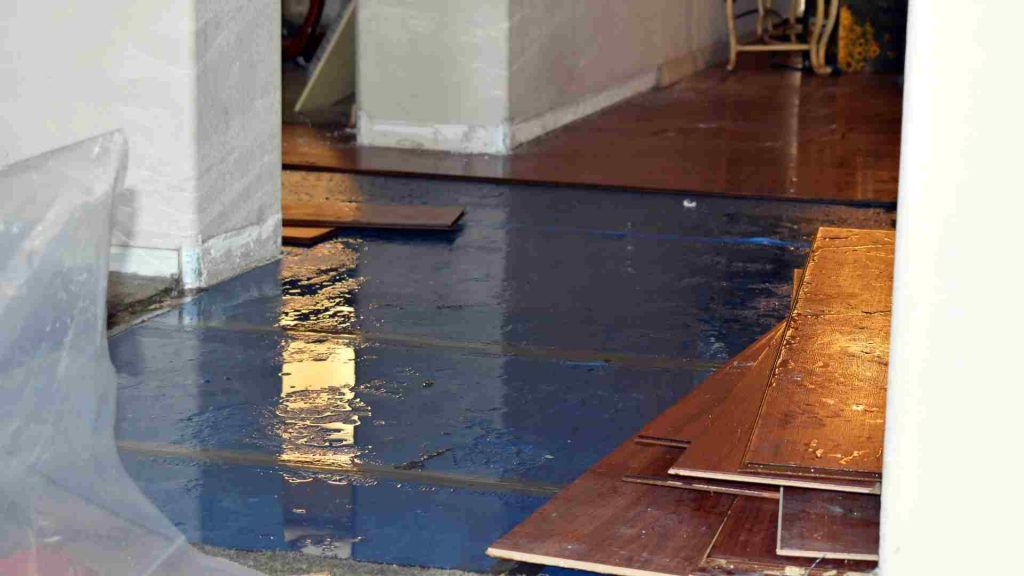 Water Damage Inspection